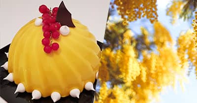 Corso amatoriale Tu Chef - La Mimosa 2.0 per la Festa della Donna