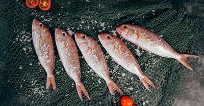 Corsi amatoriali - Il Pesce